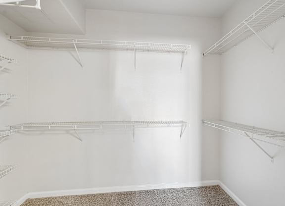 Empty white room with shelves on the wall.