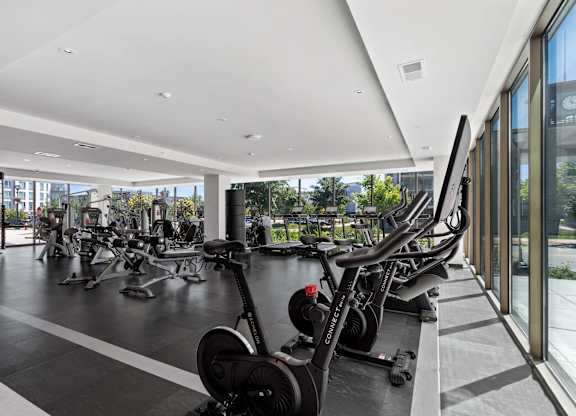 the gym has plenty of exercise equipment and floor to ceiling windows