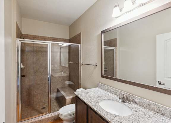 a bathroom with a shower toilet and sink