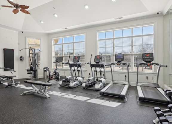 A spacious gym with treadmills, elliptical machines, and a fan.