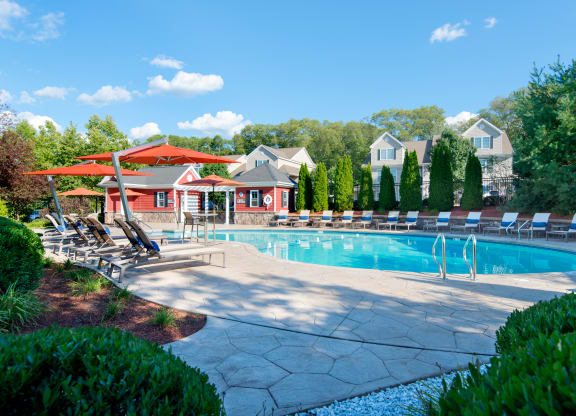 Large pool with loungers surrounding it