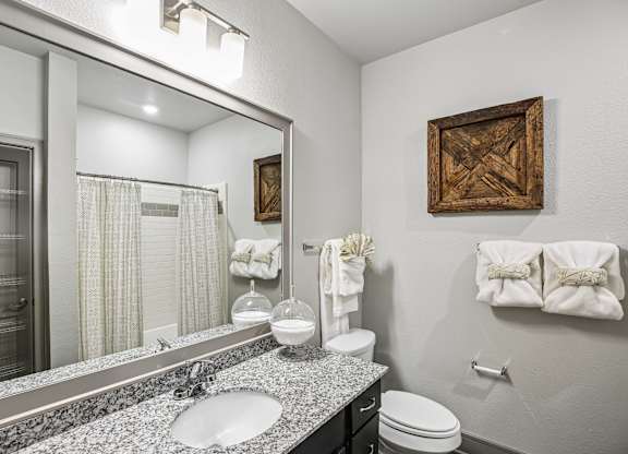 A bathroom with a marble counter top and a large mirror.