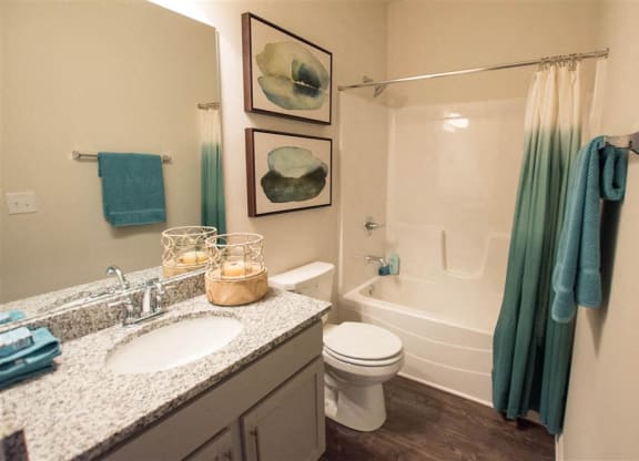 a bathroom with a sink and a toilet and a shower