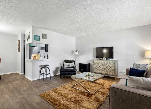 A living room with a couch, a coffee table, and a television.