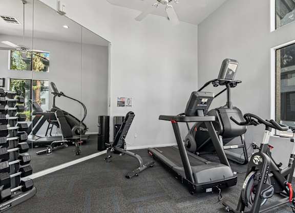 A room with a treadmill, a stationary bike, and a weight rack.