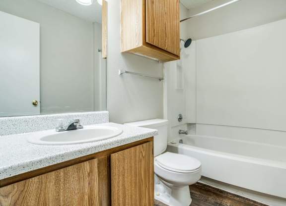a bathroom with a sink toilet and a bath tub