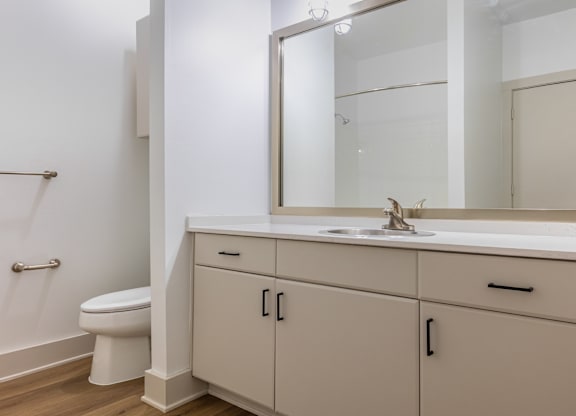 A bathroom with a white toilet and a sink with a mirror above it.