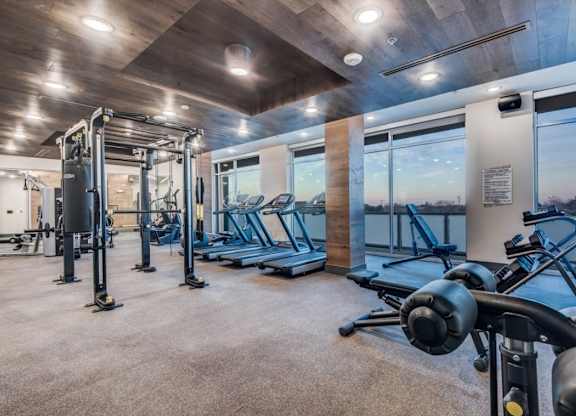 A gym with treadmills, weights, and a view of the outside.