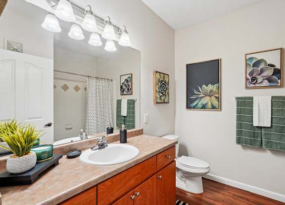 A bathroom with a toilet, sink, and mirror.