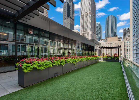 A rooftop garden with a long row of red flowers.