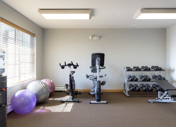 yoga studio at Birchwood Apartment Homes in Maple Grove, MN