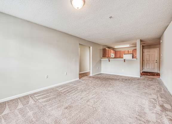 A room with a carpeted floor and a single light bulb on the ceiling.