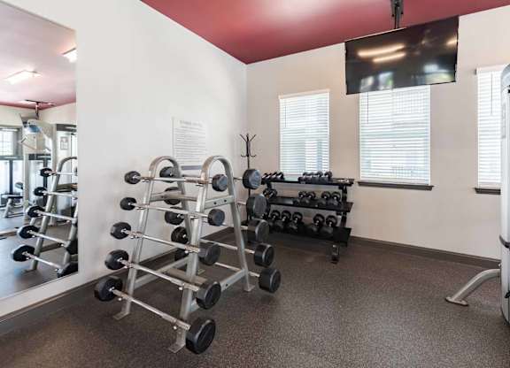 A gym with a mirror, dumbbells, and weight plates.