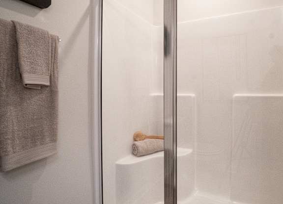 Walk-in shower in primary bathroom