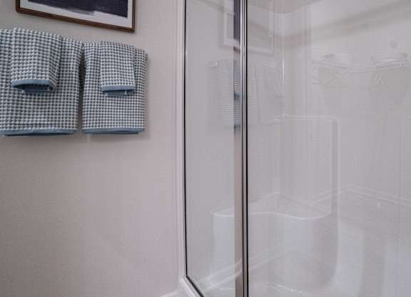 Primary bathroom walk-in shower