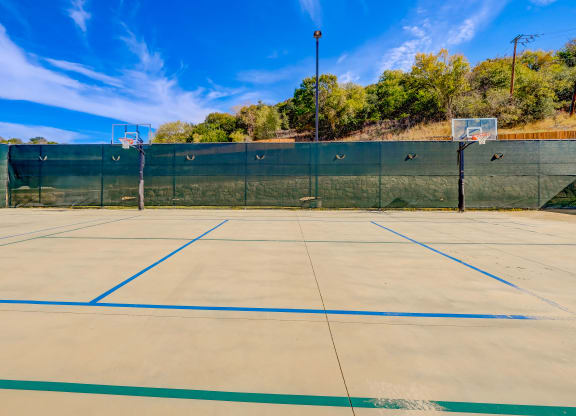 Willow Park basketball court