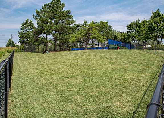 A grassy field with a blue fence and trees in the background.