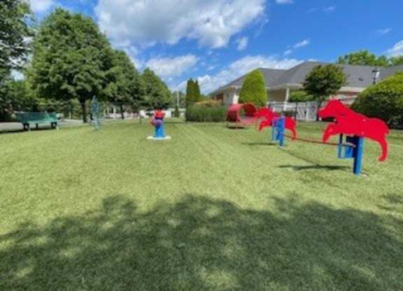 A park with a red horse
