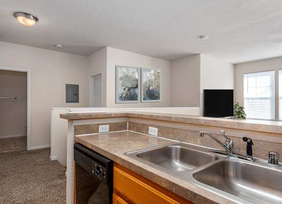 A kitchen with a sink, a counter, and a window.