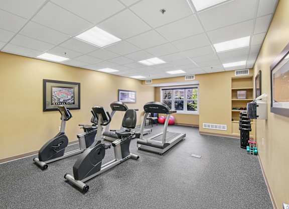 A gym room with treadmills, elliptical machines, and a weight rack.