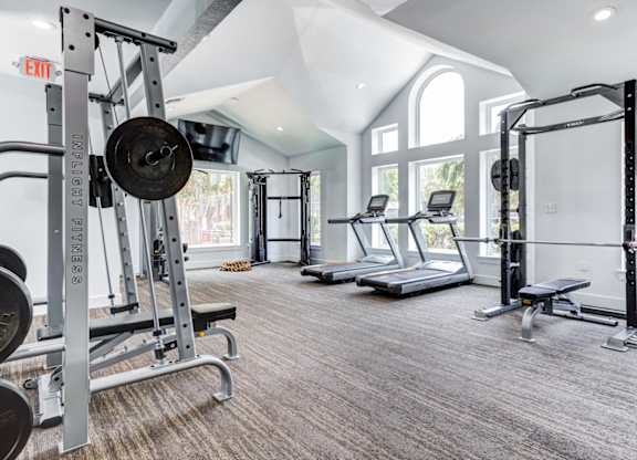 A gym with a variety of equipment including a squat rack, bench, and treadmill.
