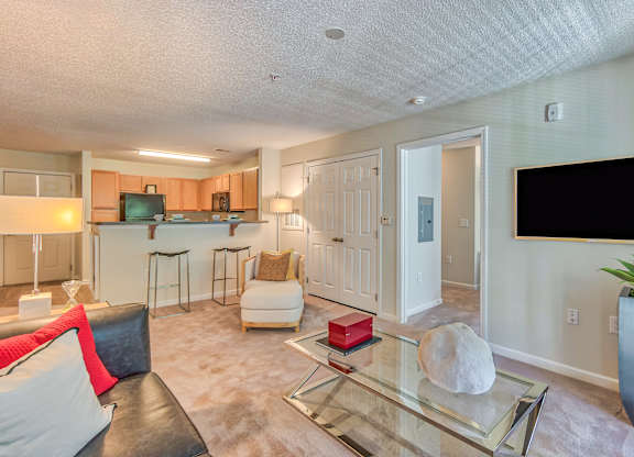 A living room with a couch, a chair, and a television.