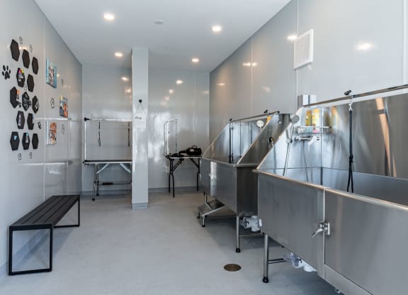 Pet-Friendly Apartments in Carmel, IN with Dog Spa