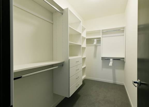 Walk-in closet with custom shelving