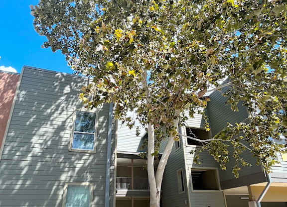 a building with a tree in front of it