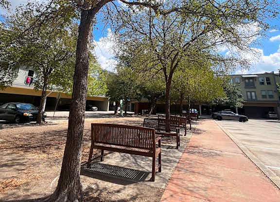 a row of benches sitting under trees on a sidewalk