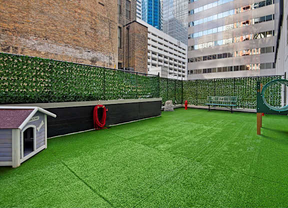 Expansive Dog Park for Furry Friends
