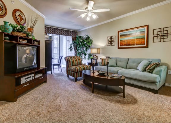 Living Room Floor to Ceiling Windows *select units