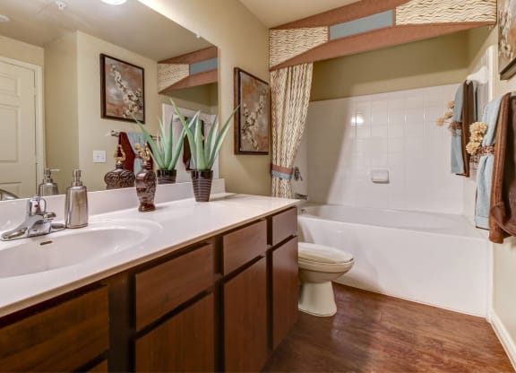 Bathroom Faux-Wood Floors
