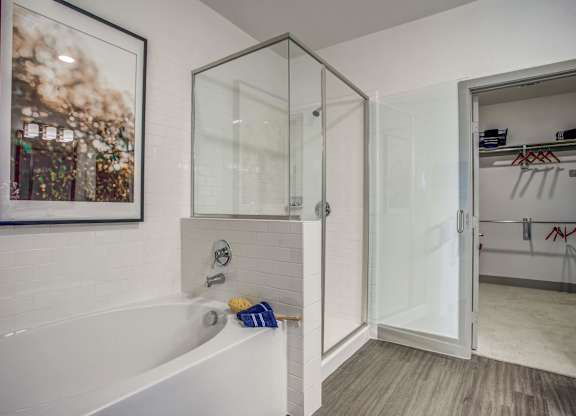 Elegant Master Bathroom