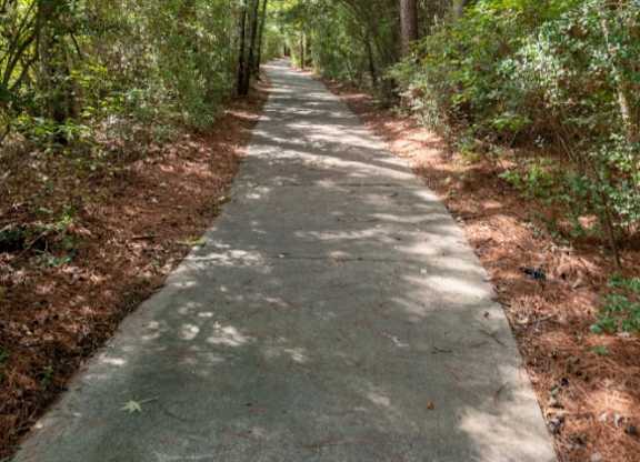 A concrete walkway leads through a forest.