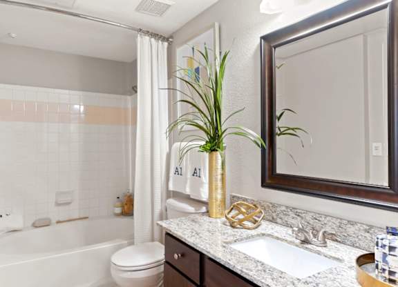 A bathroom with a white tub, a white toilet, a sink, a mirror, and a plant.