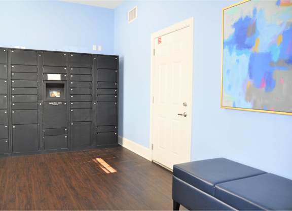 A room with a large black cabinet and a white door.