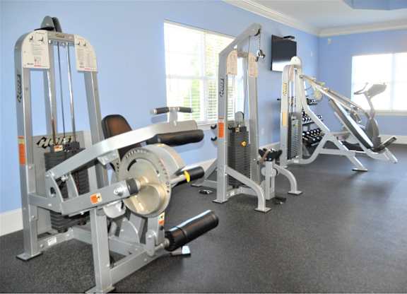 A gym with a row of exercise machines.