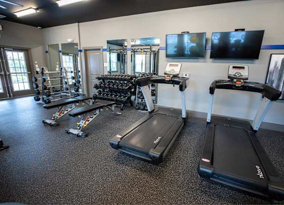 A gym with treadmills, weights, and mirrors.