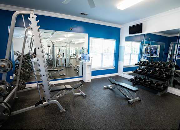 A gym with a variety of equipment including weights and a bench.