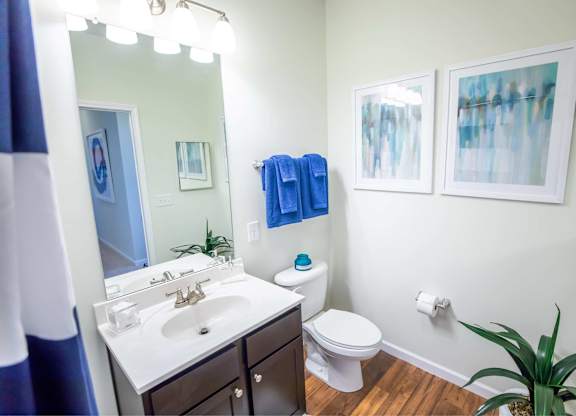 A bathroom with a toilet, sink, and mirror.