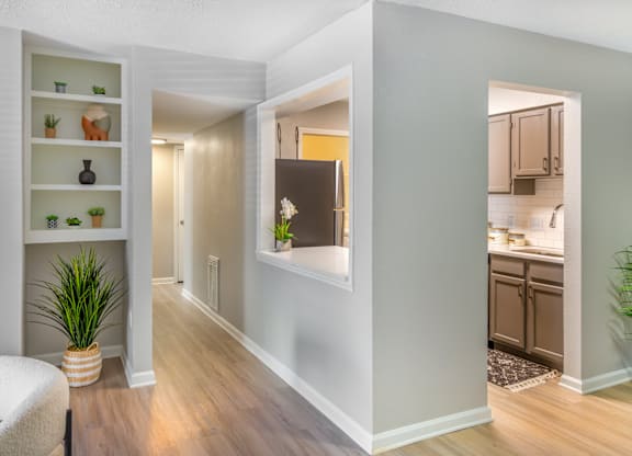 A hallway with a chair and a shelf with plants on it.