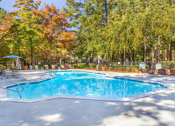 A large swimming pool surrounded by trees in a sunny day.
