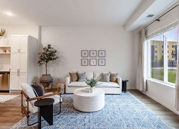 A living room with a white couch, a blue rug, and a potted plant.