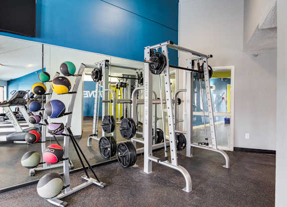 A gym with a blue wall and a variety of exercise equipment.