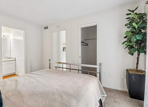 A bedroom with a bed, a plant, and a mirror.