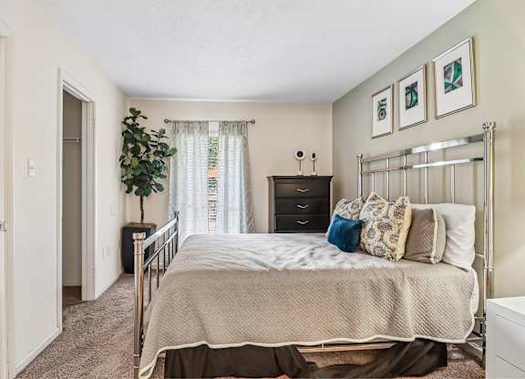 A bedroom with a bed, dresser, and a plant.