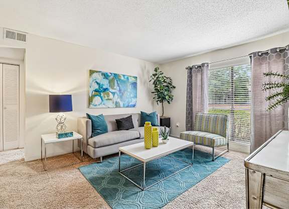 A living room with a grey couch and a blue rug.