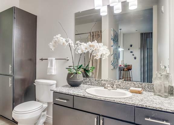 Spacious bathroom at Twin Creeks Crossing, Allen apartments for rent