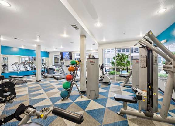 The Arts gym
